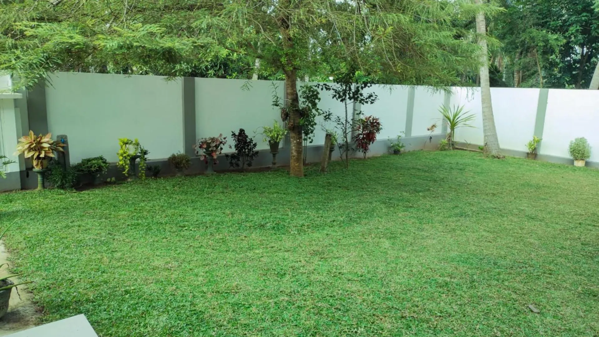 Homestay Parrot Paradise Negombo Sri Lanka