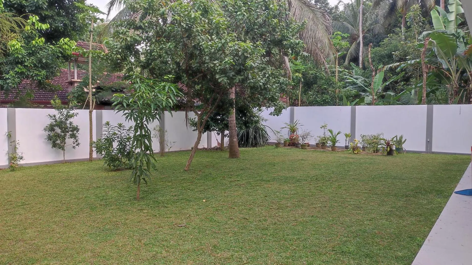 Parrot Paradise Negombo