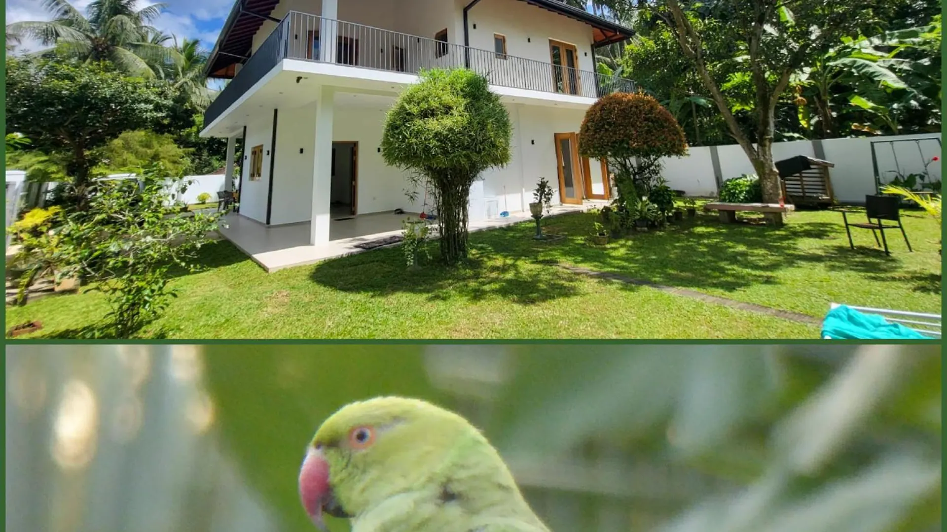Parrot Paradise Negombo